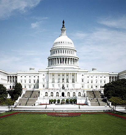 Tour Washington y Monte Vernon