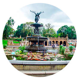 Explore el Parque Central con Day Tours