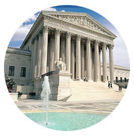 Tours en Washington y Monte Vernon